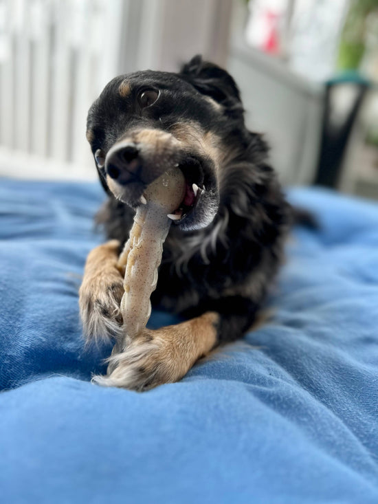 Load image into Gallery viewer, Spunky Pup - Hard Chew Nylon Antlers - Made in the USA Image
