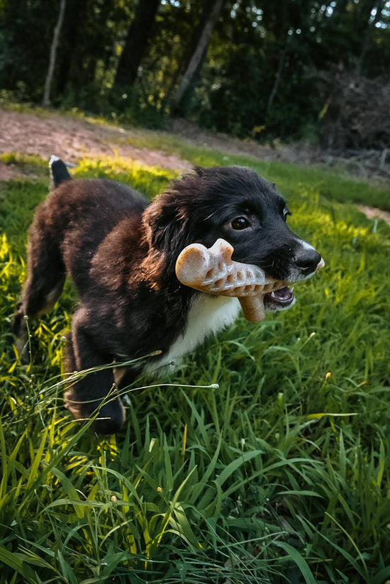 Load image into Gallery viewer, Spunky Pup - Hard Chew Nylon Antlers - Made in the USA Image
