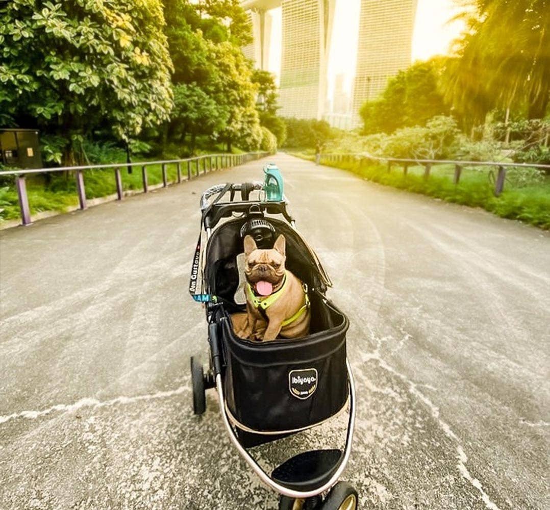 Ibiyaya - Monarch Premium Pet Jogger, Designer-Luxury Dog Stroller  Image