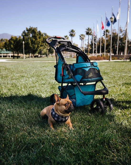 Petique - Durable Pet Stroller  Image