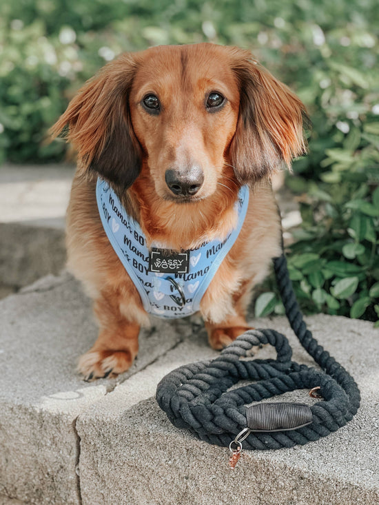Load image into Gallery viewer, Sassy Woof Dog Rope Leash - Noir Image
