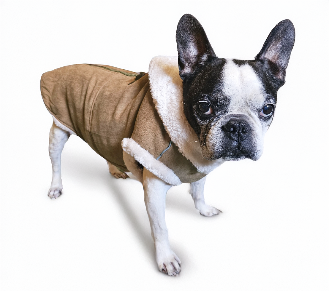 Dogo Pet - Furry Runner Coat Image