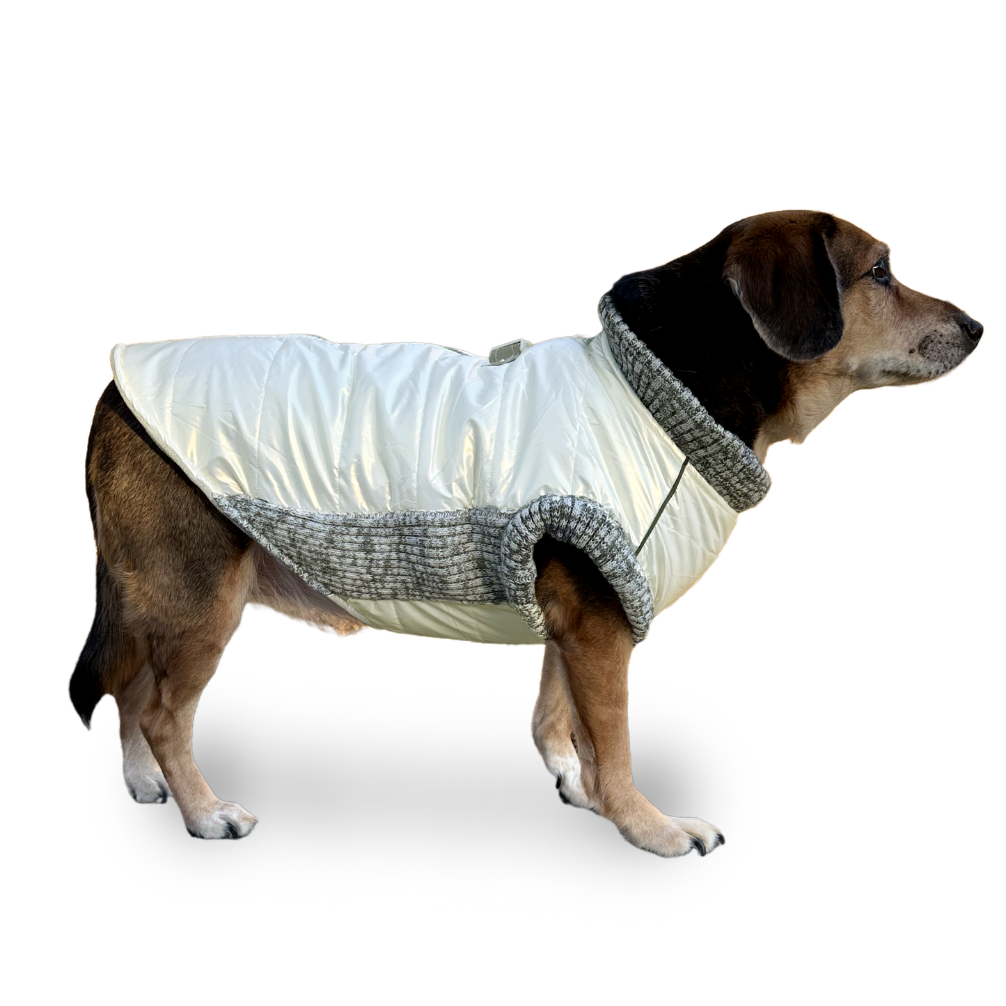 Dogo Pet - Runner Coat Metallic Pearl White Image