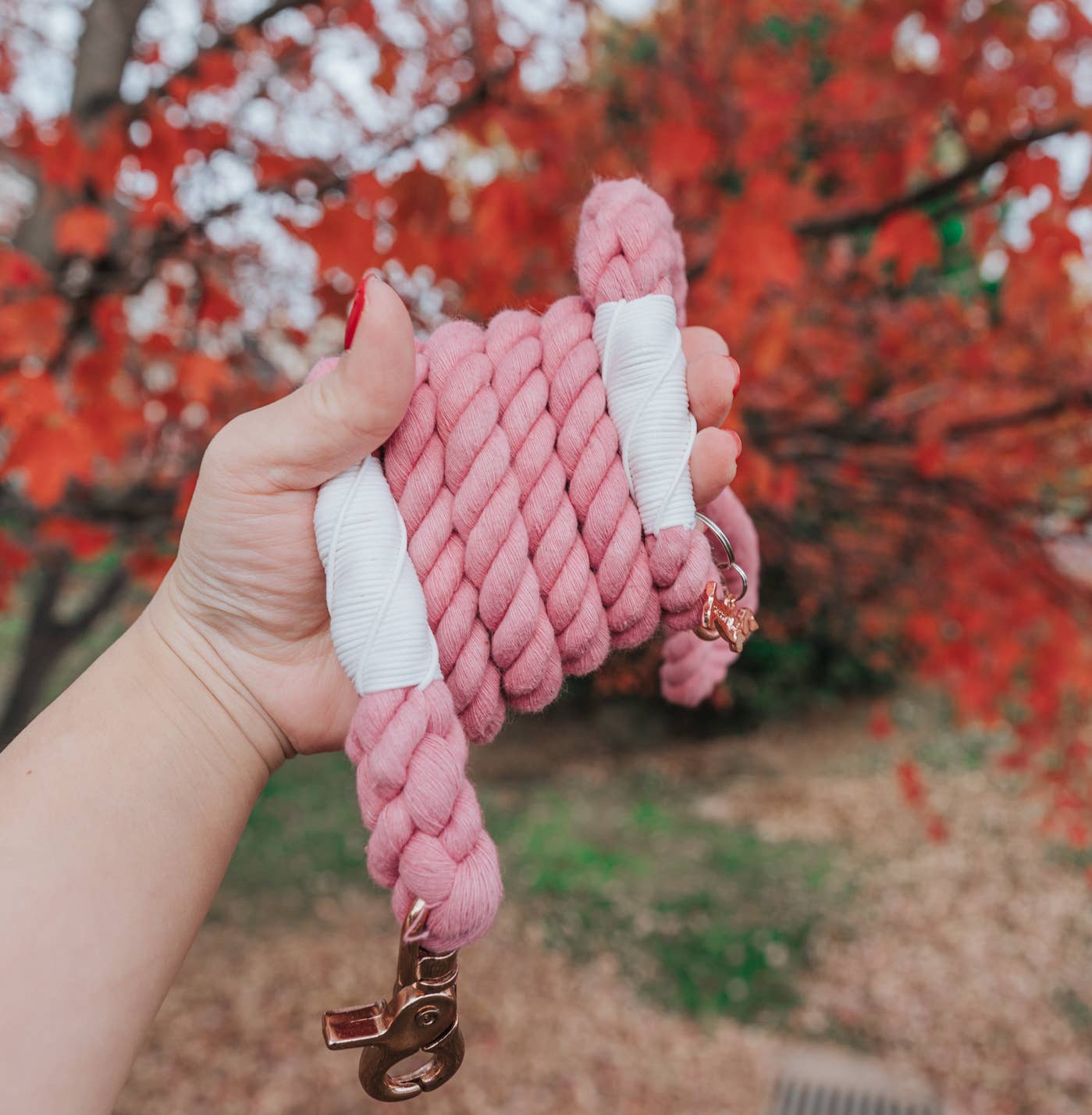 SASSY WOOF - Dog Rope Leash - Cotton Candy Image