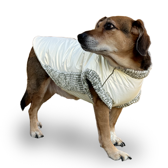 Dogo Pet - Runner Coat Metallic Pearl White Image