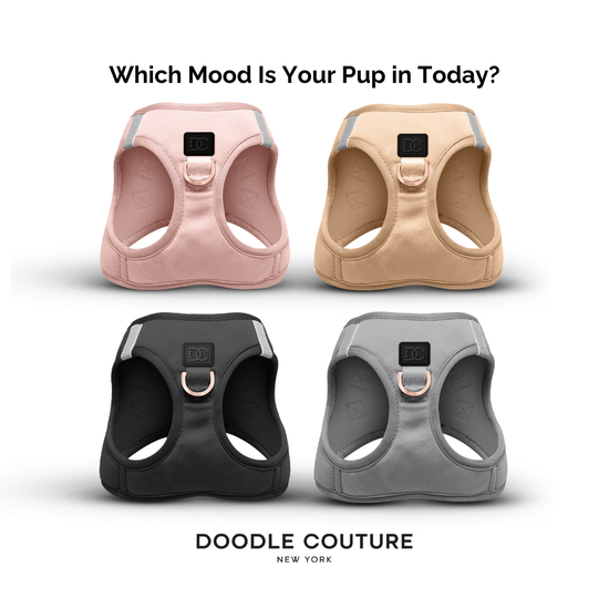 Doodle Couture, New York - WINNER - Harness Innovation of the Year Award - Blush  Image