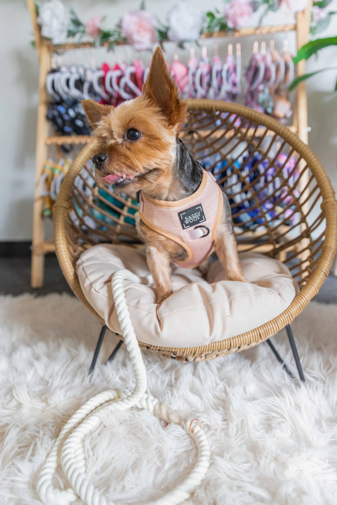SASSY WOOF - Dog Rope Leash - Dove Image