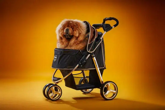 Ibiyaya - Monarch Premium Pet Jogger, Designer-Luxury Dog Stroller  Image