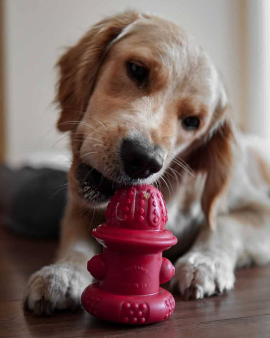 Load image into Gallery viewer, Spunky Pup - Double Wall Hydrant - Made in the USA Image
