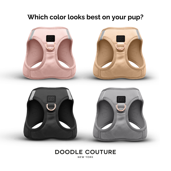 Doodle Couture, New York - WINNER - Harness Innovation of the Year Award - Dune  Image