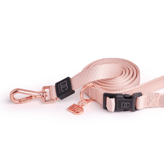 Doodle Couture, New York - Secure-In-Place Dog Leash - Blush Image