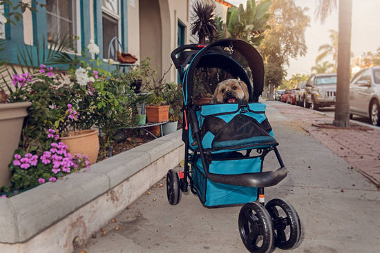 Petique - Durable Pet Stroller  Image