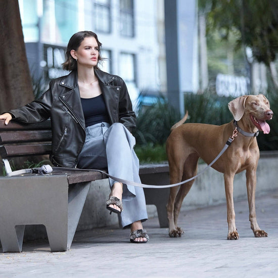 Load image into Gallery viewer, Doodle Couture, New York - Secure-In-Place Dog Leash - Steel Image
