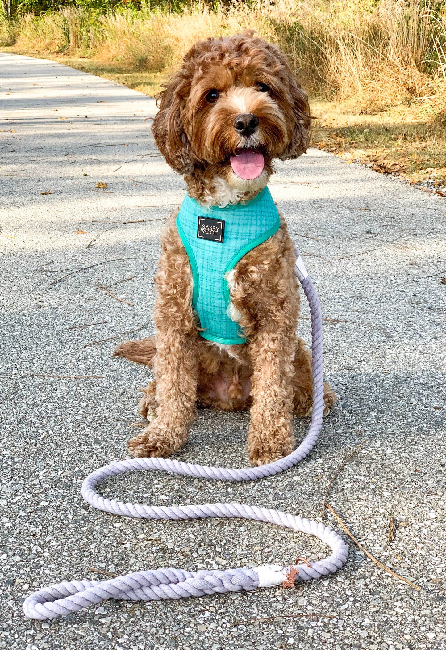 SASSY WOOF - Dog Rope Leash - Serenity Image