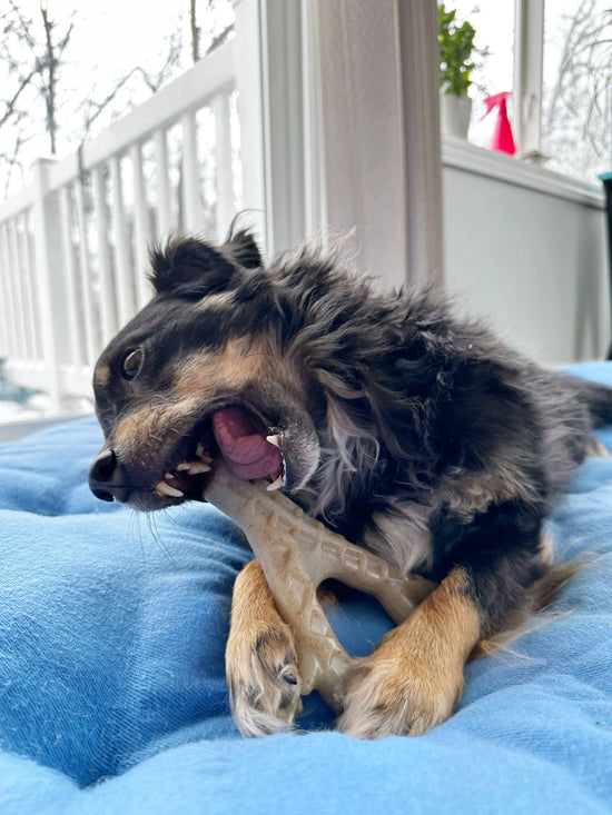 Load image into Gallery viewer, Spunky Pup - Hard Chew Nylon Antlers - Made in the USA Image
