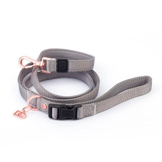 Load image into Gallery viewer, Doodle Couture, New York - Secure-In-Place Dog Leash - Steel Image
