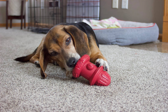 Load image into Gallery viewer, Spunky Pup - Double Wall Hydrant - Made in the USA Image
