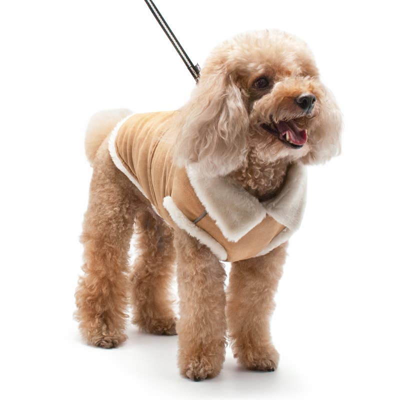 Dogo Pet - Furry Runner Coat Image