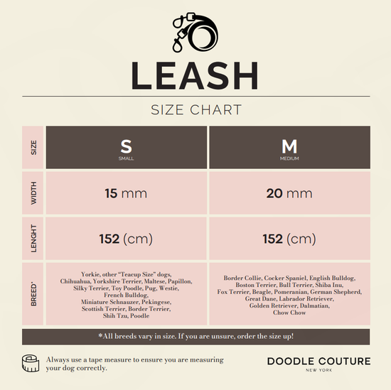 Load image into Gallery viewer, Doodle Couture, New York - Secure-In-Place Dog Leash - Steel Image

