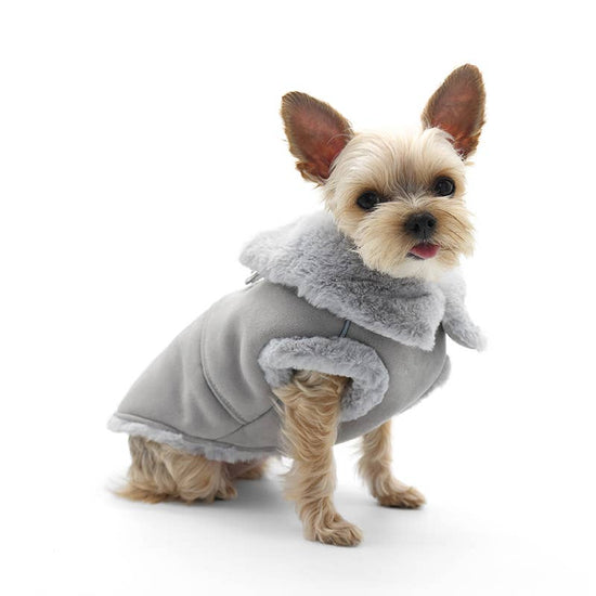 Dogo Pet - Furry Runner Coat Image