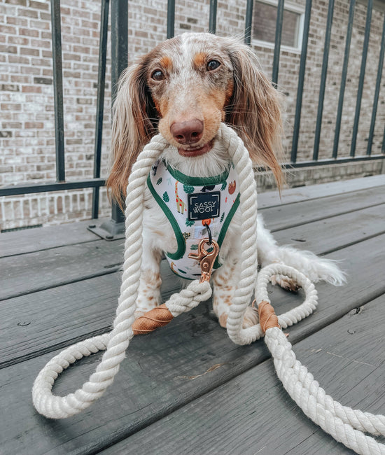 Load image into Gallery viewer, Sassy Woof Dog Rope Leash - Natural Image
