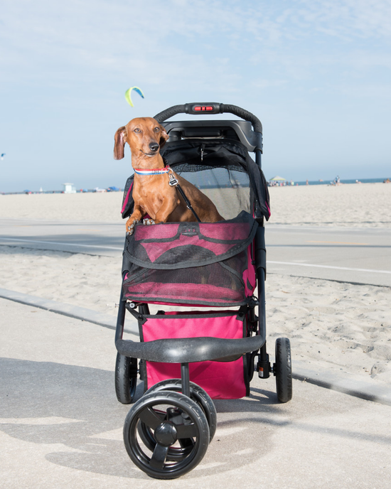 Petique - Durable Pet Stroller  Image