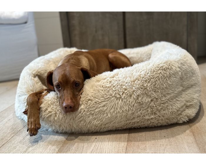 The Franklin  Dog Bed  Image