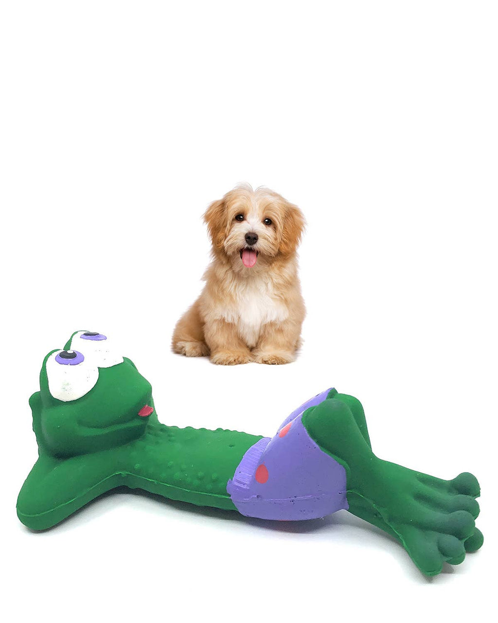 Rubber frog dog toy sales