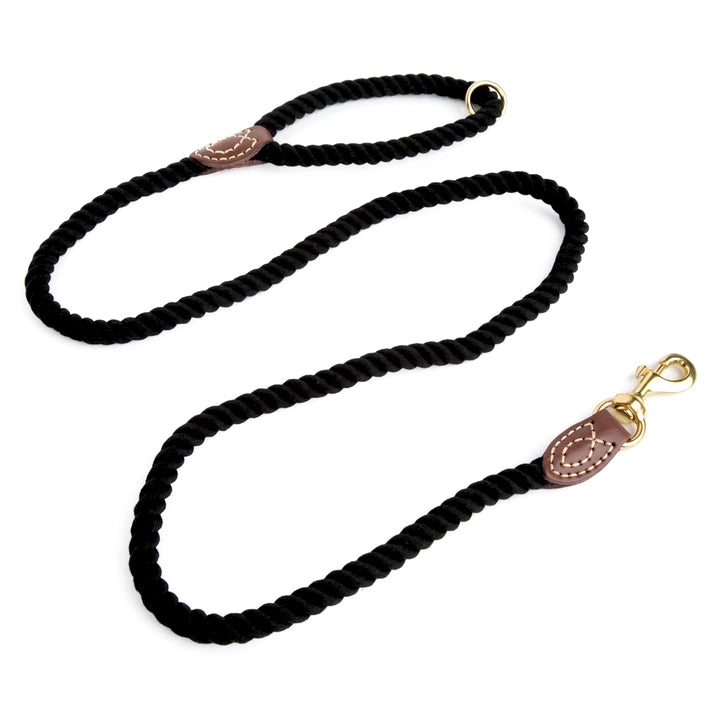 Petco clearance chain leash